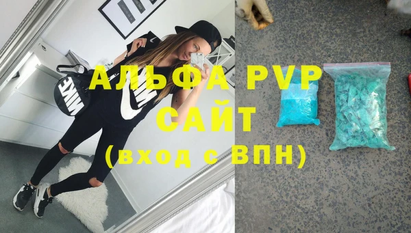 спиды Богданович