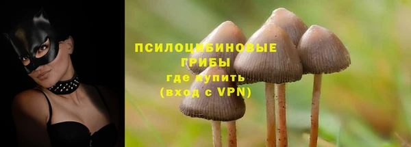каннабис Богородицк