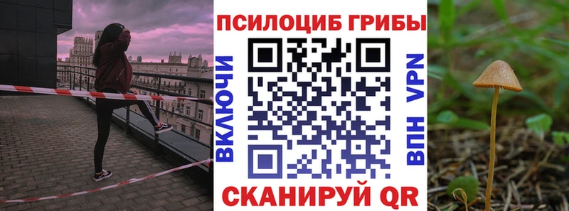 Галлюциногенные грибы Magic Shrooms  Качканар 